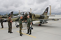 Czech - Air Force – Aero L-39ZA Albatros 5017