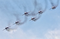 Swifts / Strizhi – Mikoyan-Gurevich MiG-29UB  / 9-51 VARIOUS