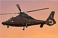 Lithuania - Air Force – Eurocopter AS 365 N3+ Dauphin 41