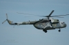 Mi171Sh_9915.jpg