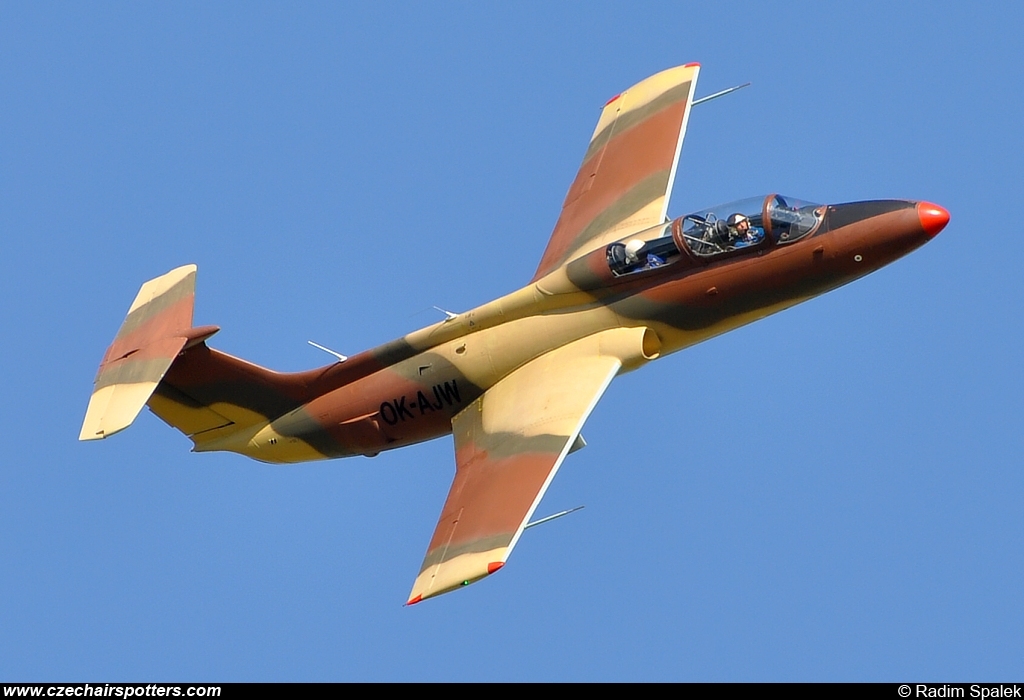 private – Aero L-29 Delfin OK-AJW