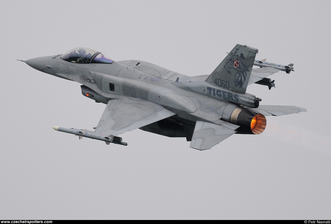 Poland - Air Force – Lockheed F-16CJ Fighting Falcon 4060