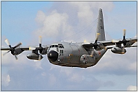 Belgium - Air Force – Lockheed C-130H Hercules CH-04