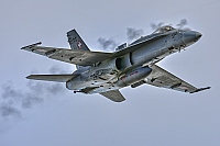 Switzerland - Air Force – McDonnell Douglas F/A-18C Hornet J-5019