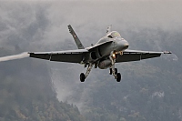 Switzerland - Air Force – McDonnell Douglas F/A-18C Hornet J-5020