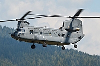 Netherlands - Air Force – Boeing CH-47F Chinook D-890