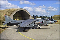 UK - Air Force – British Aerospace Harrier GR7 ZD409 / 38