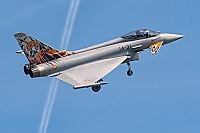 Spain - Air Force – Eurofighter EF-2000 Typhoon S 14-31