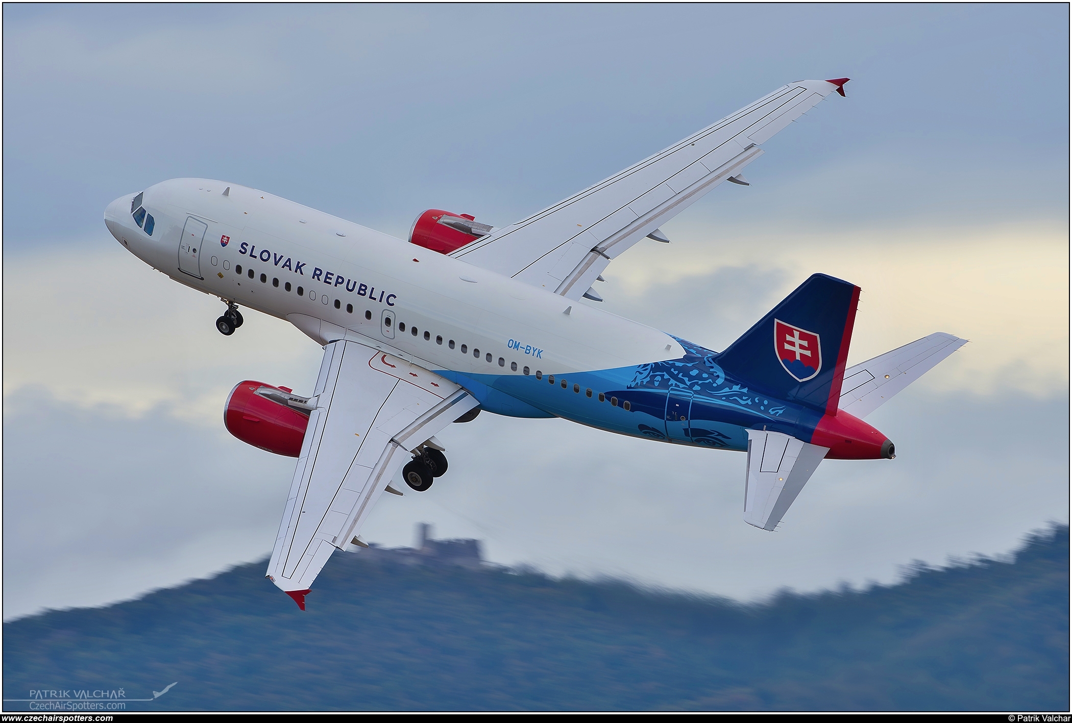 Slovakia - Air Force &ndash; Airbus A319-115X CJ OM-BYK